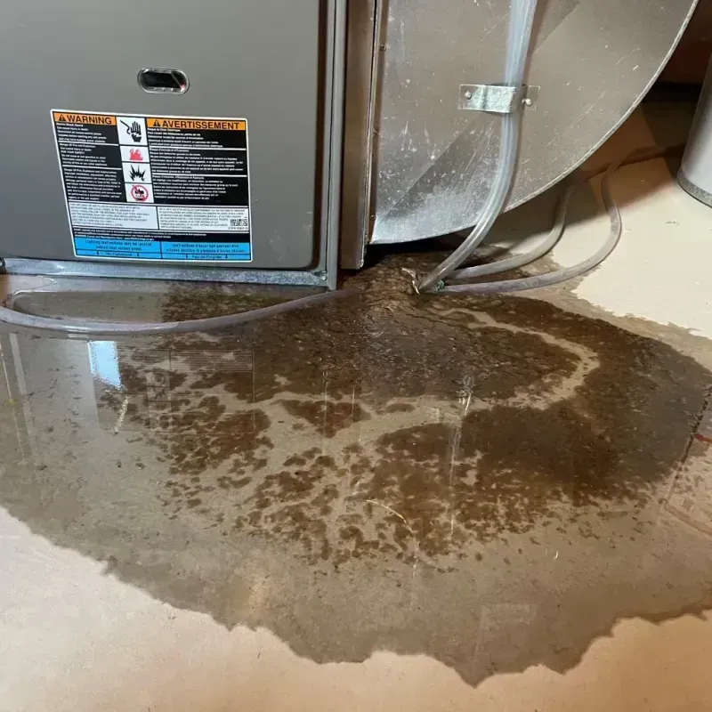 Appliance Leak Cleanup in Pinellas Park, FL